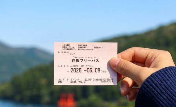 b828a51f33c44.png