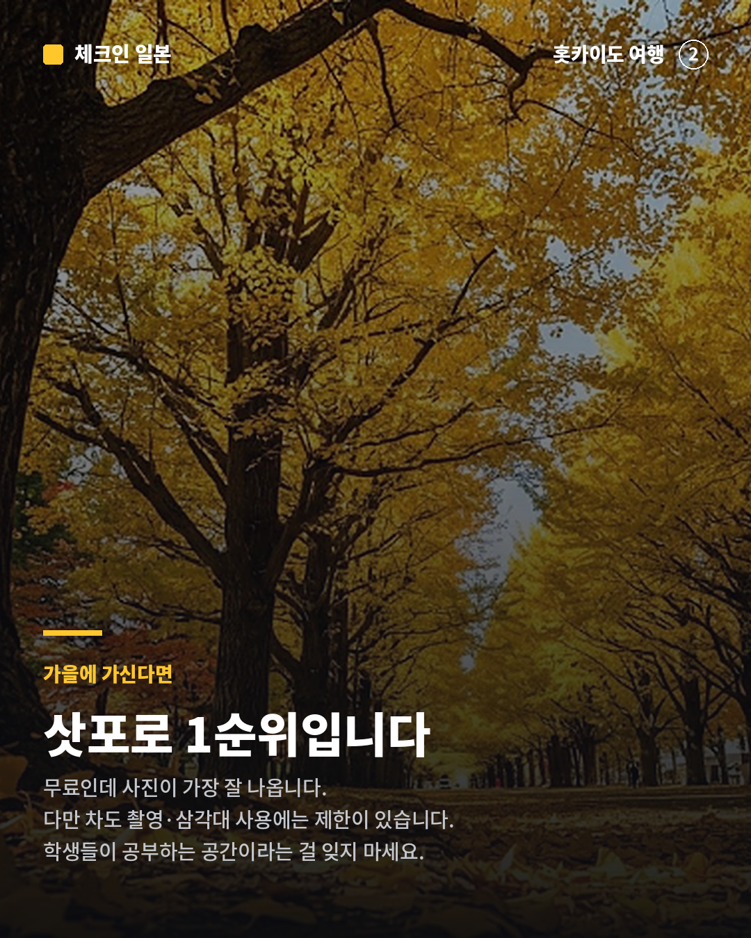 c2c83755d03bb.png