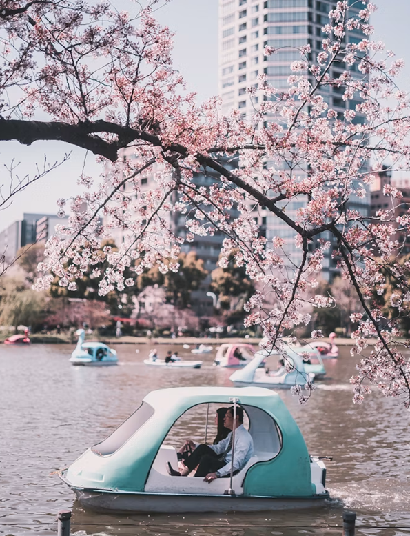 c556d0ff013a2.png