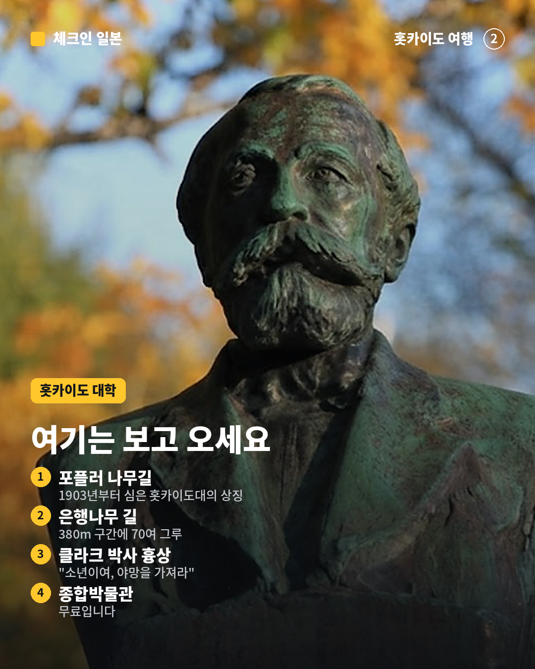 d5fdcee4b193a.png