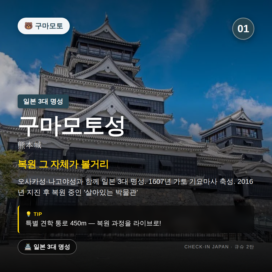 d76831f7f0272.png