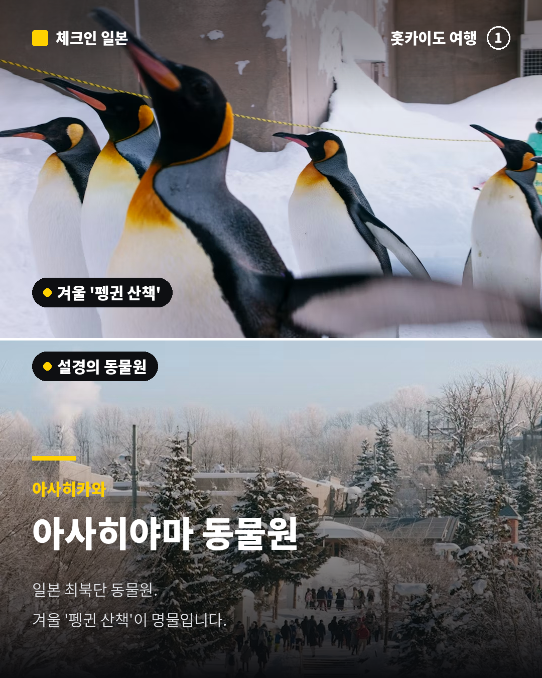 d85c55245f4ee.png