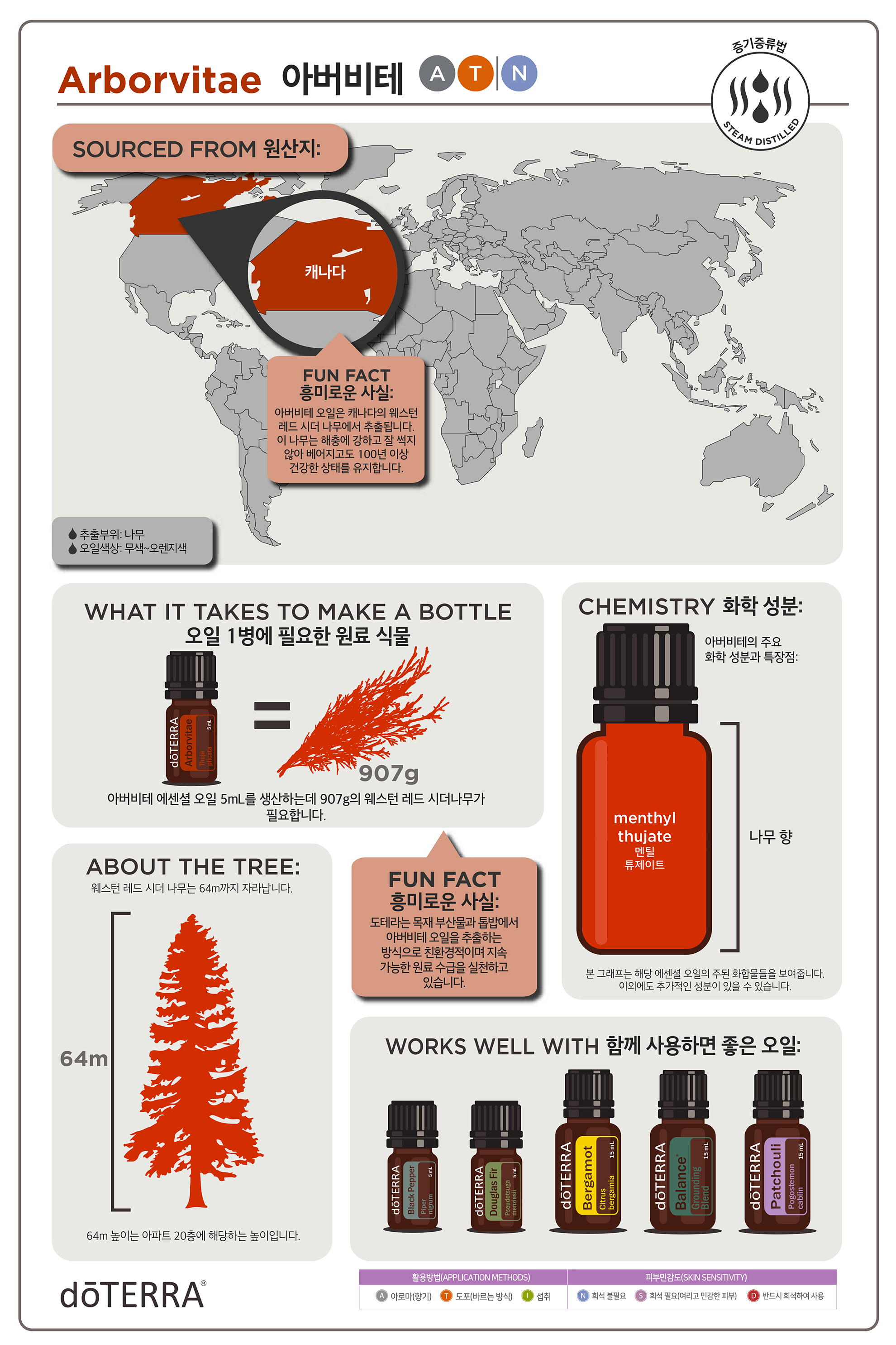 arborvitae 아버비테 오일 : 오일 원산지 정보 | 도테라KOREA IPC공식몰, 쇼핑몰 | 국내최저가 | 테라오일