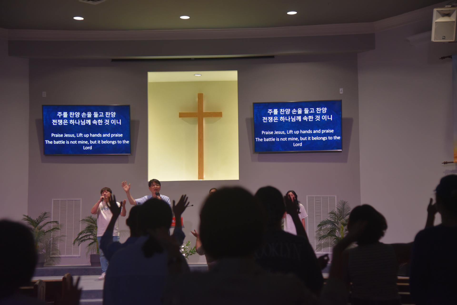 503980a9b9206.png