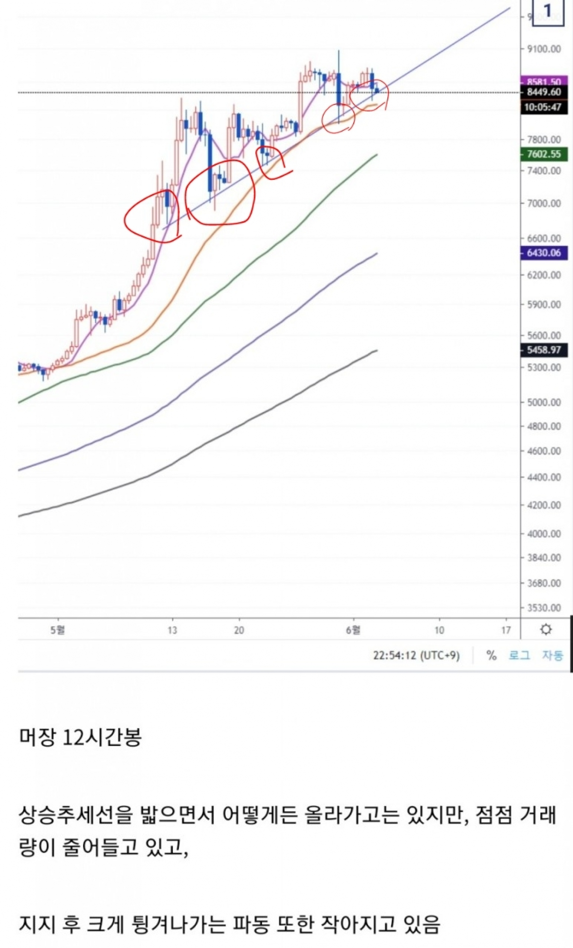 플라이트챌린지