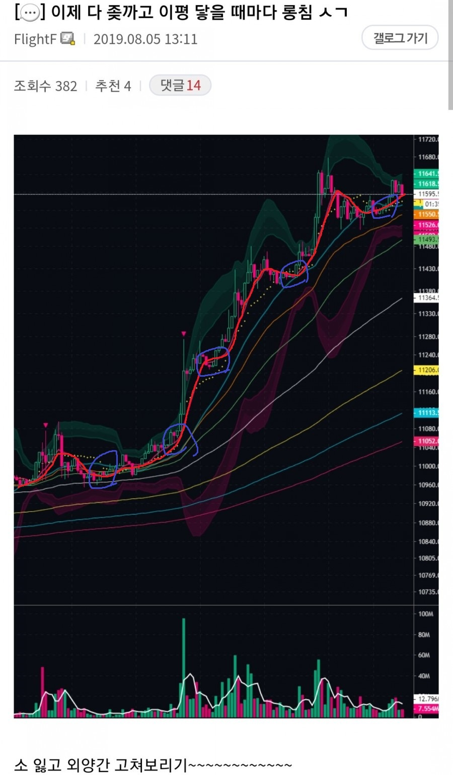 플라이트 챌린지