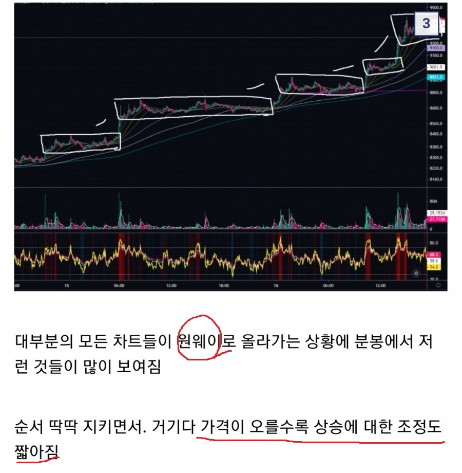 플라이트챌린지