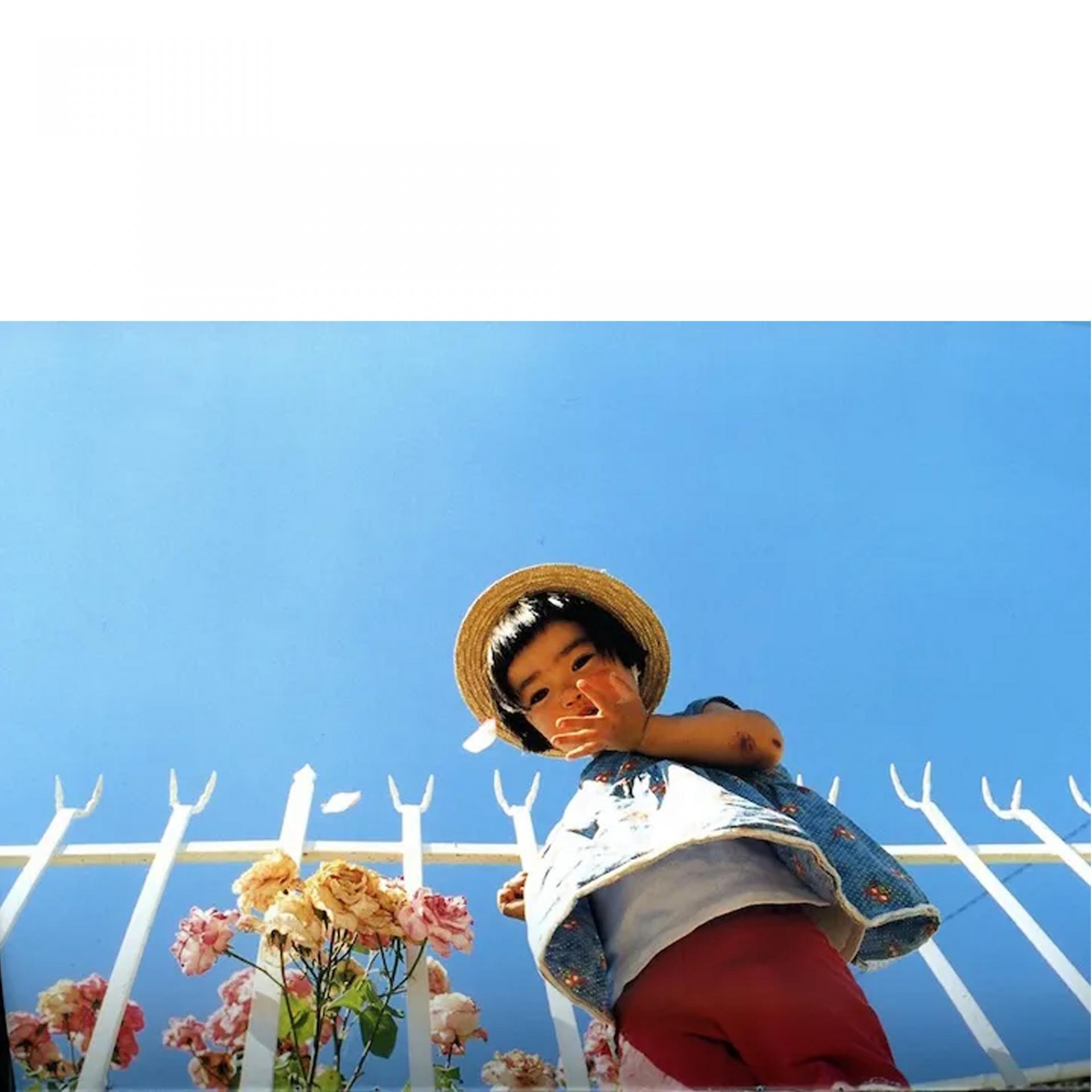 5ea6a4bb4822c.jpg