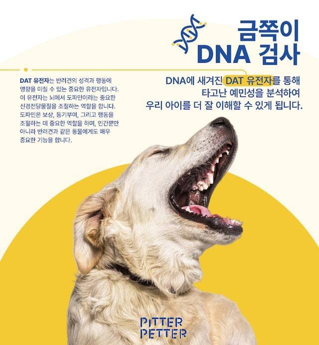 피터페터의 금쪽이 DNA 검사 포스터(사진=피터페터)