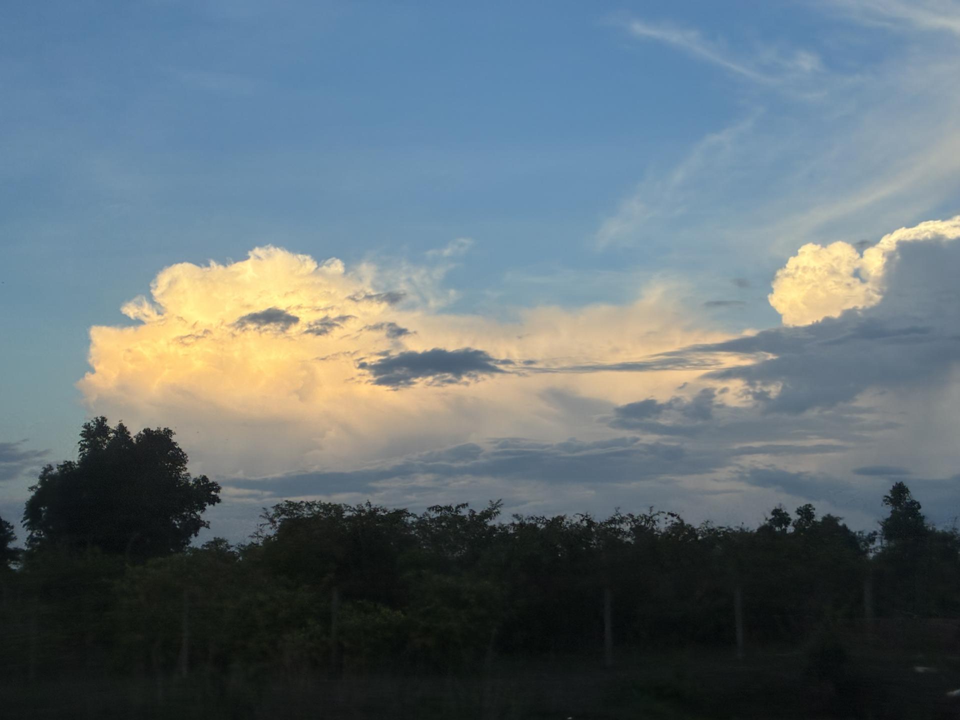 6564db96900eb.jpg