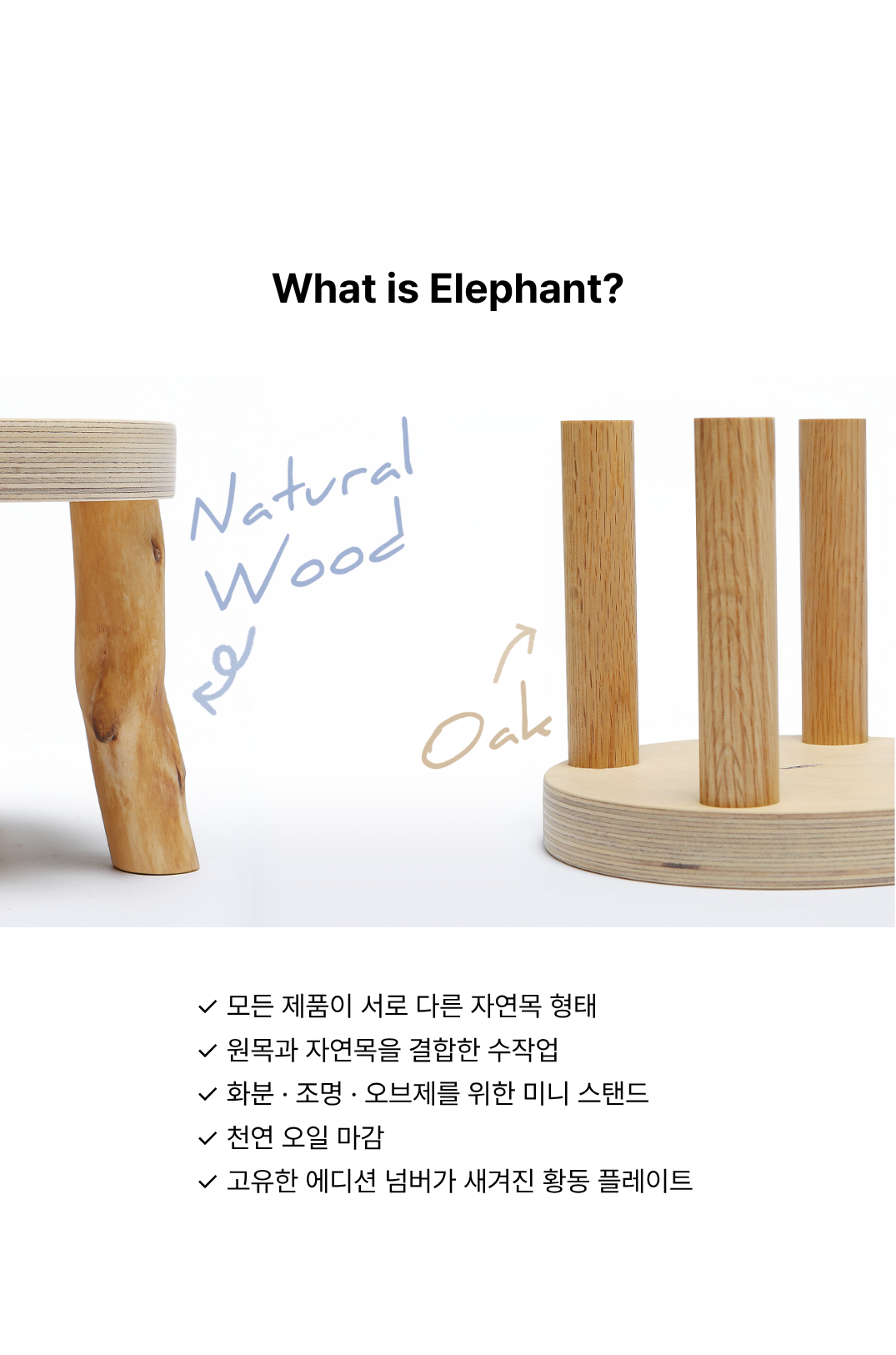 Elephant XXS | Acacia