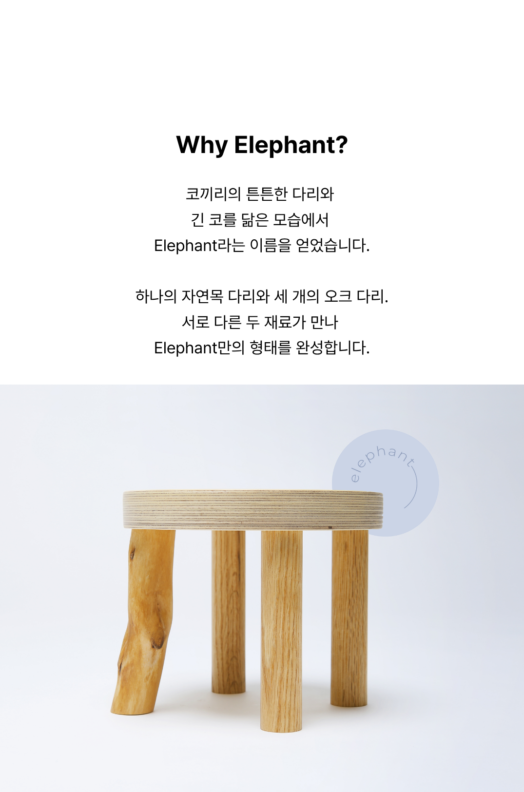 Elephant S | Birch