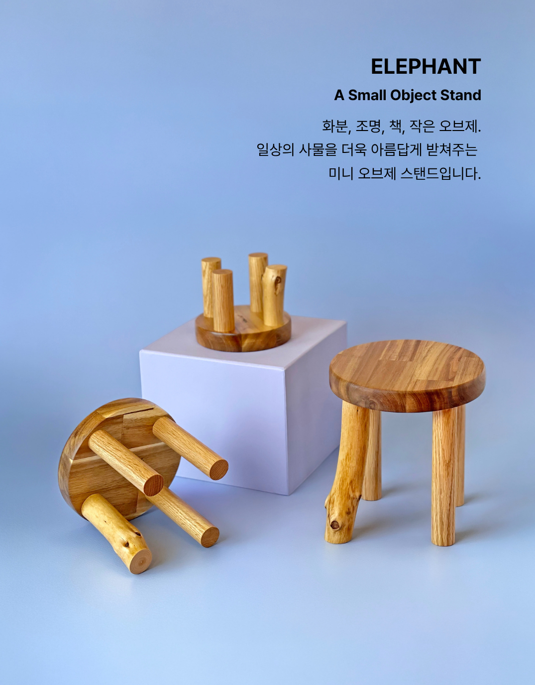 Elephant S | Acacia