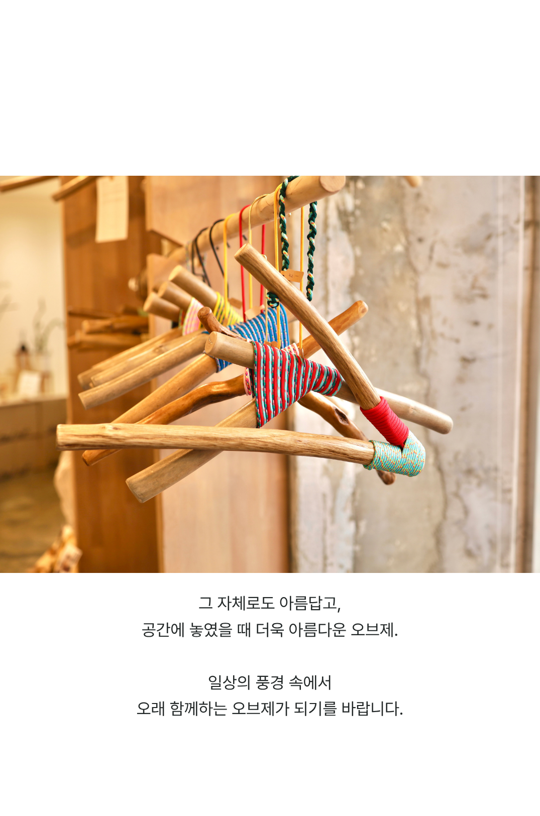 Parrot B