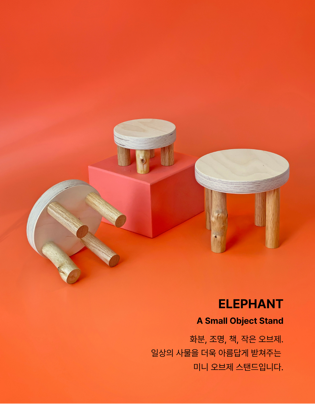 Elephant S | Birch