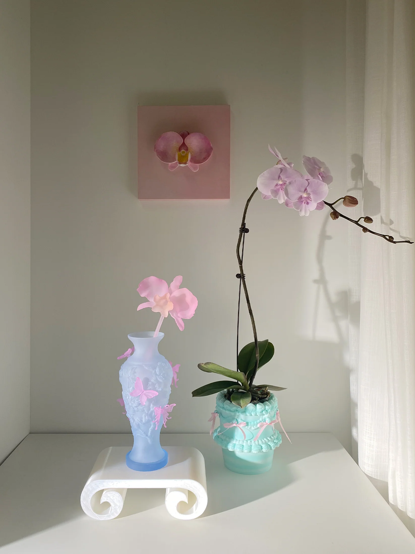 CATTLEYA STEM 카틀리아 양난 줄기 스템