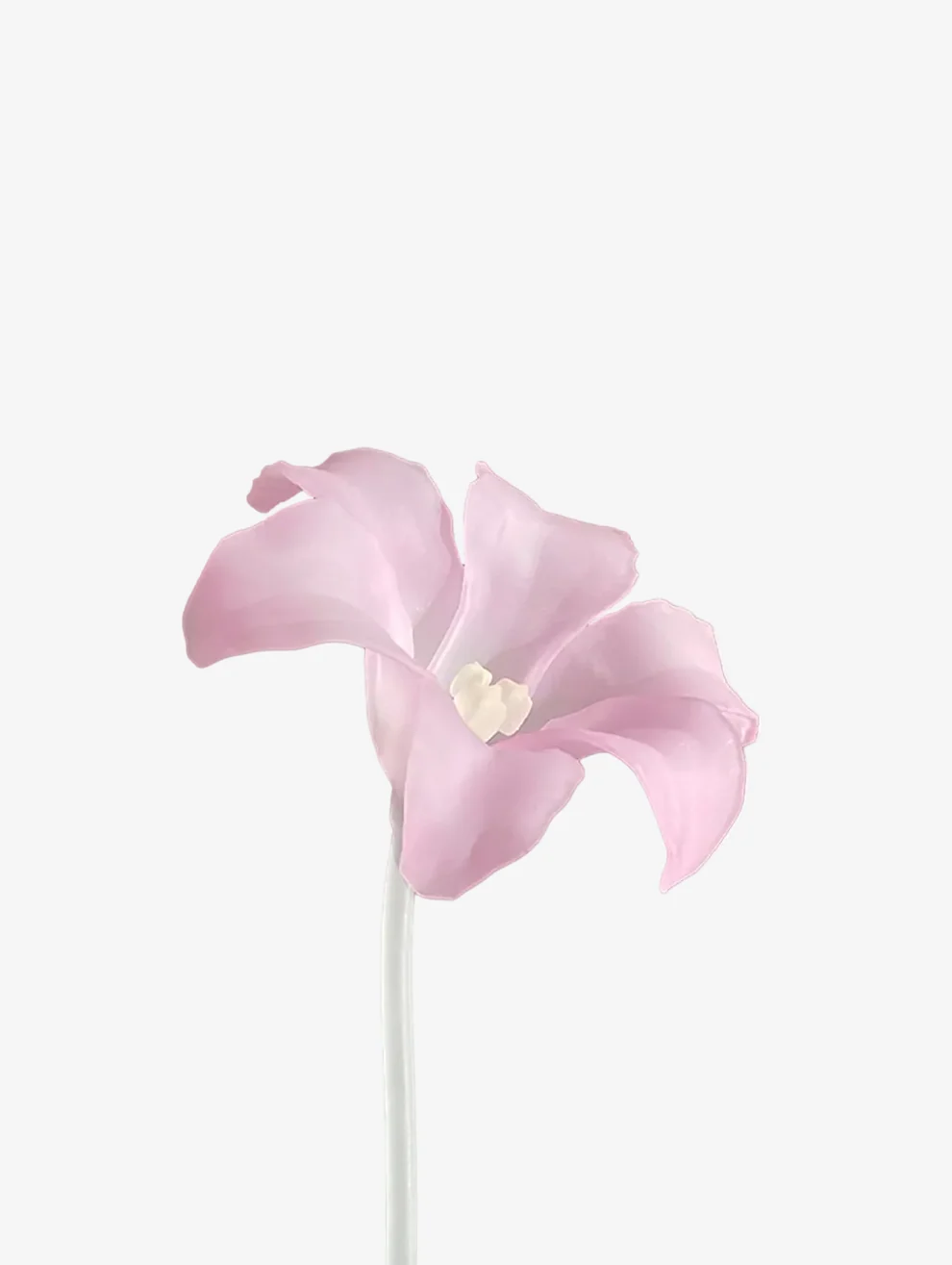 LILY STEM 릴리 스템