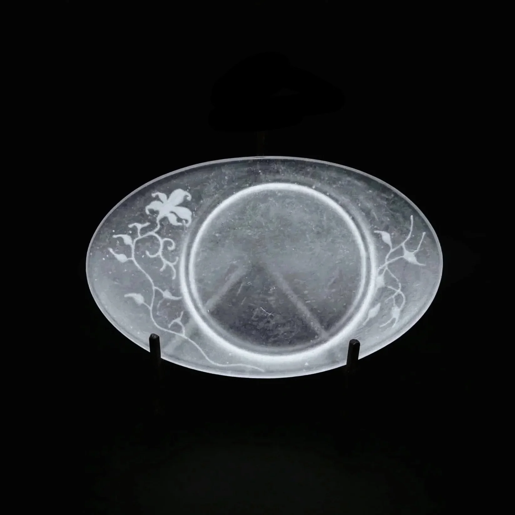FROSTED GLASS PATE DE VERRE OVAL TRAY 얼은 유리 팔레트 드 베르 타원형 플레이트