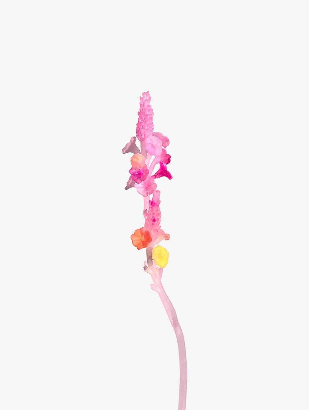 LARKSPUR STEM 라크스퍼 스템