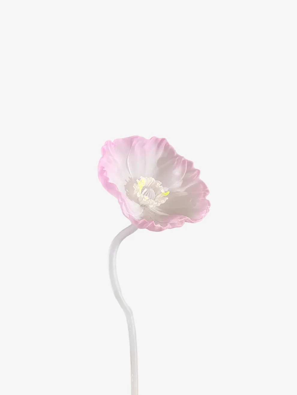 POPPY STEM 포피 스템