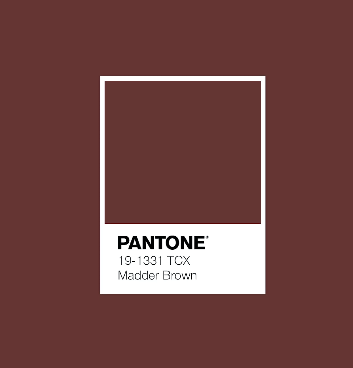 팬톤 | pantone | pantone 19-1331 | 일상의 것들 | 텔유 | 텔유레터