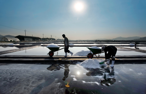 신안 | 염전노예 | 신안염전노예 | 미국 | 트럼프 | 세모브 | 브랜딩 텔유어월드