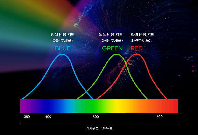 신호등 | RGB | 일상의 것들 | 텔유 | 텔유레터