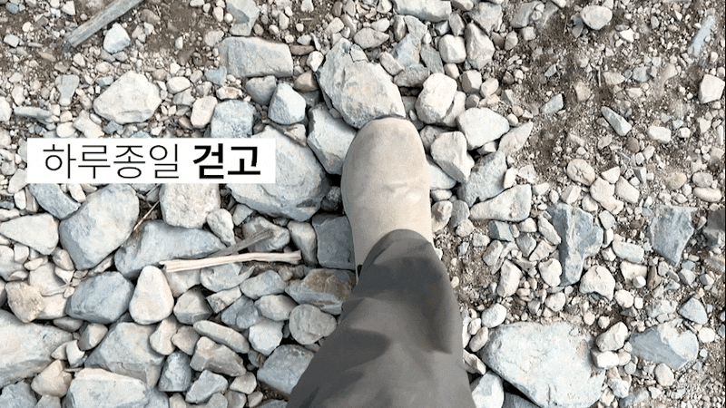워커 삭스(Worker Socks)_테스트용