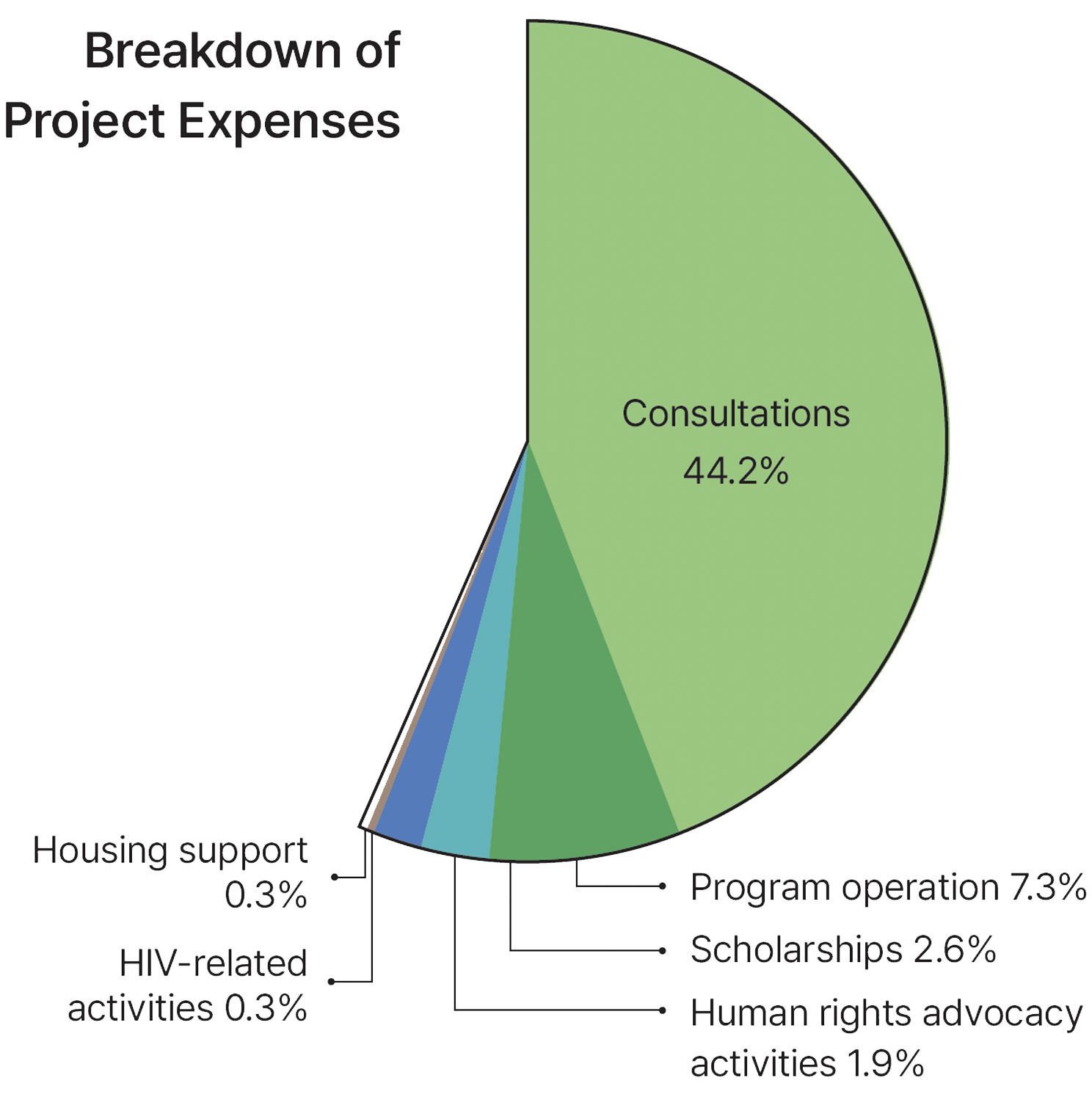  A detailed chart breaking down the project execution costs from the expenditure items.