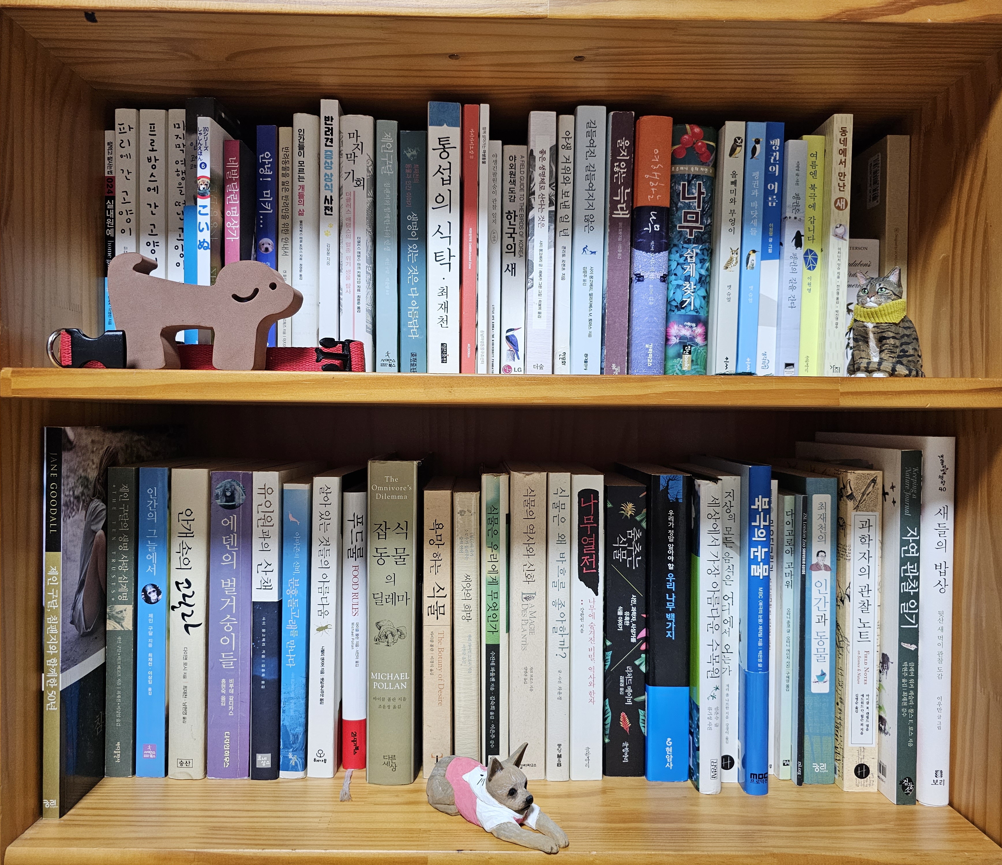 KakaoTalk_20230618_201425370_01.jpg