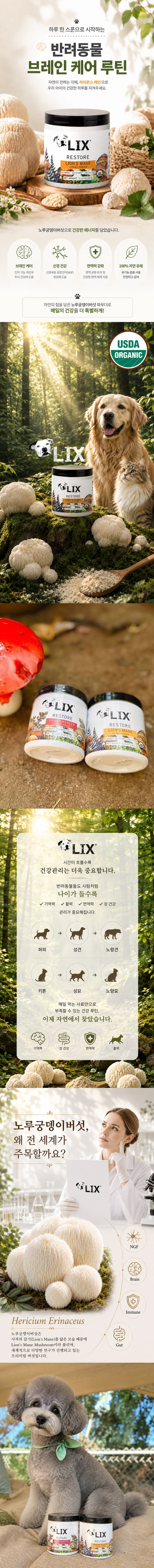 릭스 라이온스 메인 노루궁뎅이버섯 분말 60g