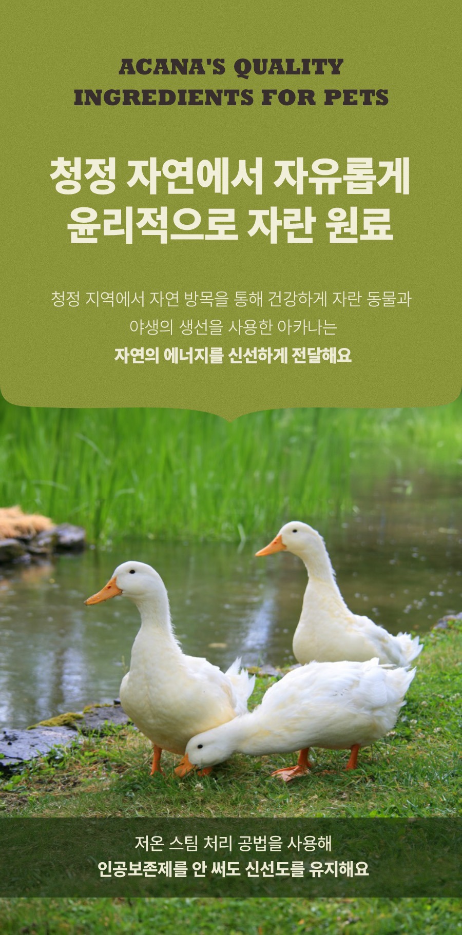 아카나 그래스랜드 캣 1.8kg