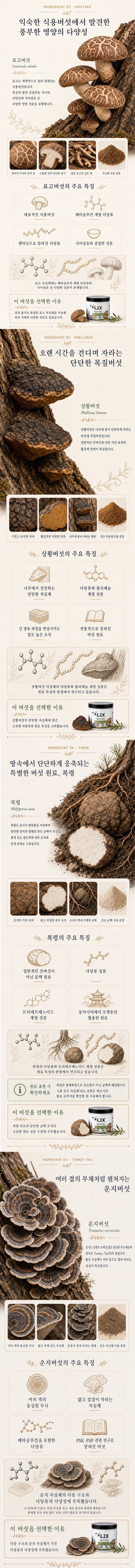 릭스 식스 머쉬룸 분말 영양보조제 60g