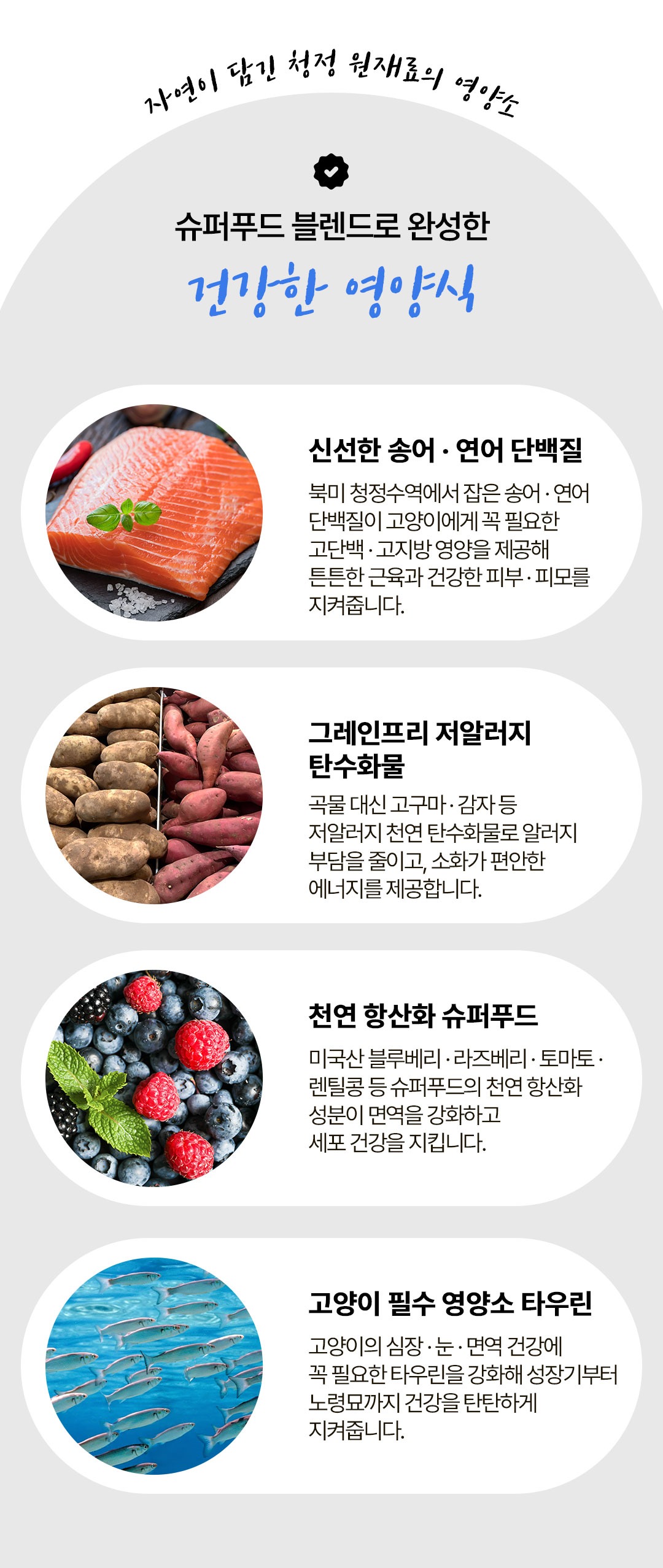 토우 캣 송어 & 훈제연어 1.36kg