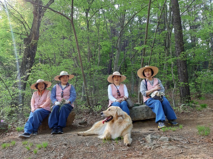 b589fb8a88c63.jpg