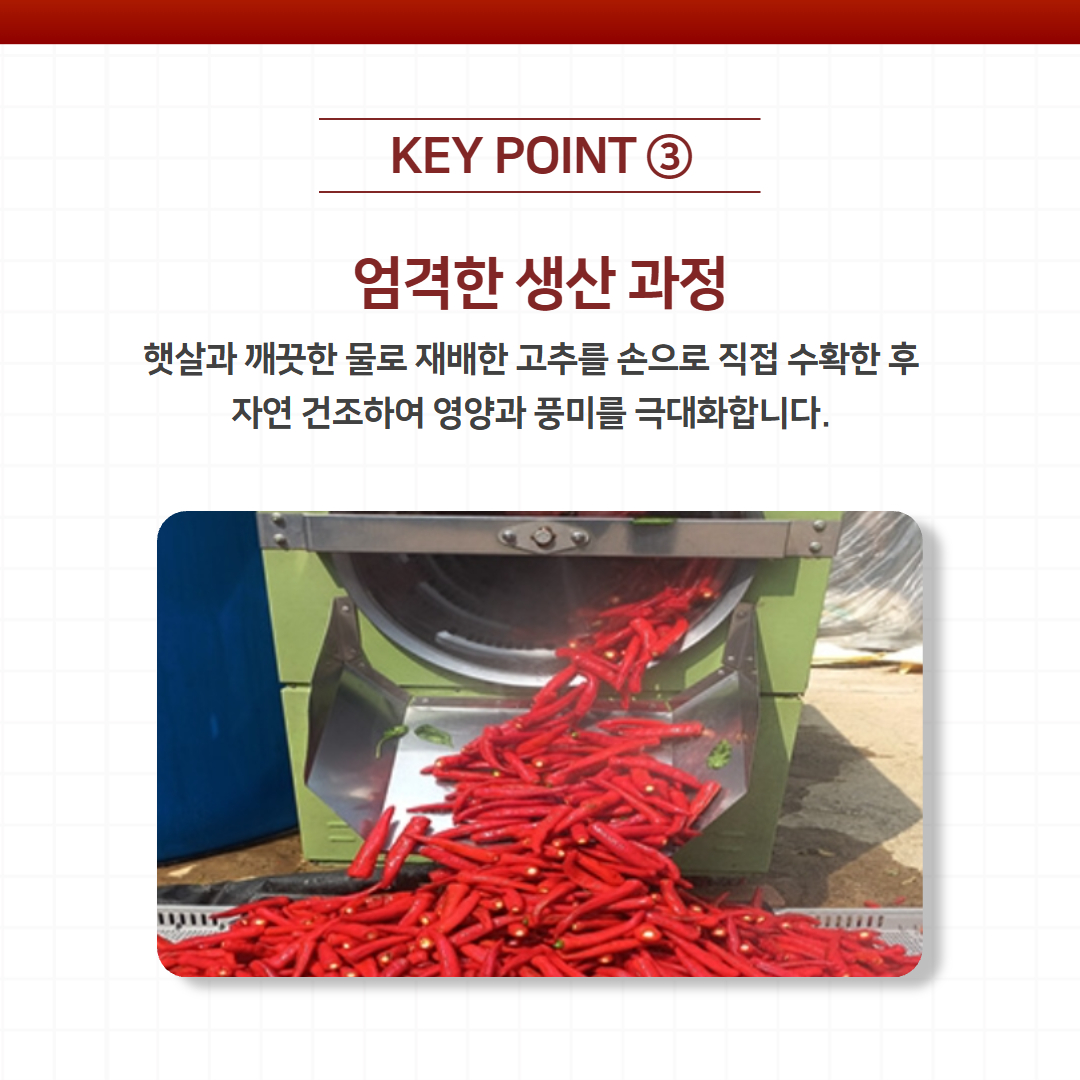 1f55a2d18db07.jpg