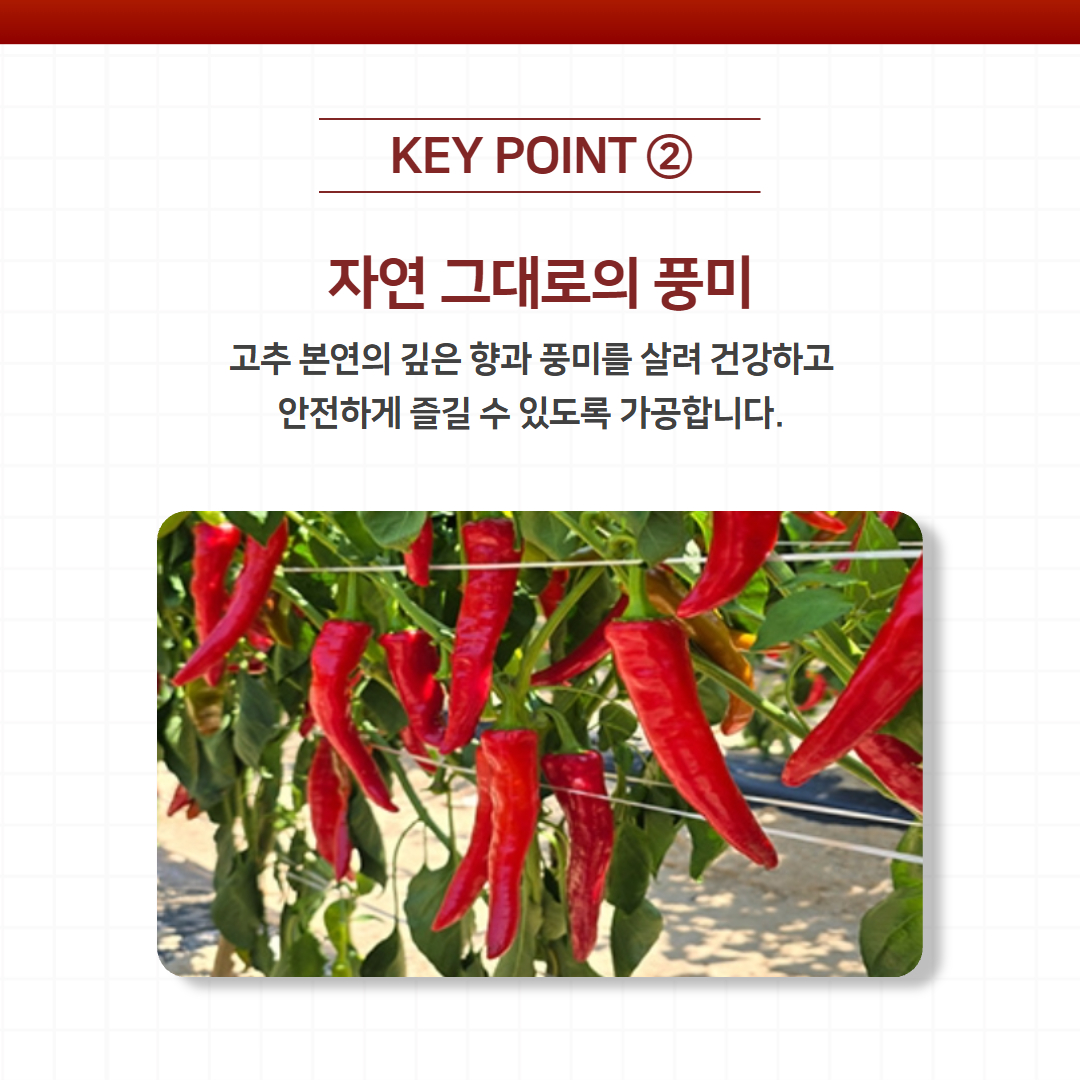3381d1ab91931.jpg