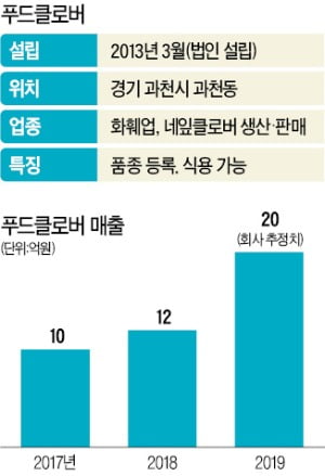 푸드클로버 "먹는 네잎클로버로 스타벅스 뚫었죠"