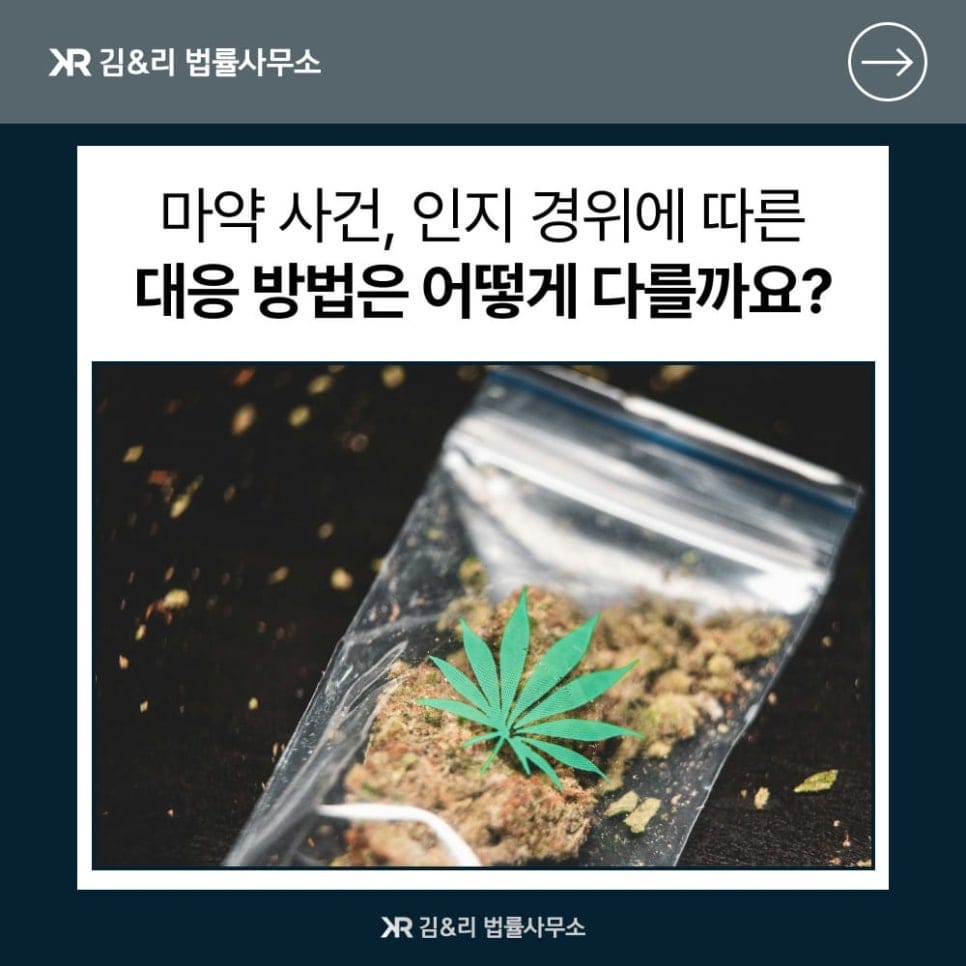 마약 사건 인지와 변호사 선임