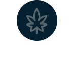 Drug Offenses