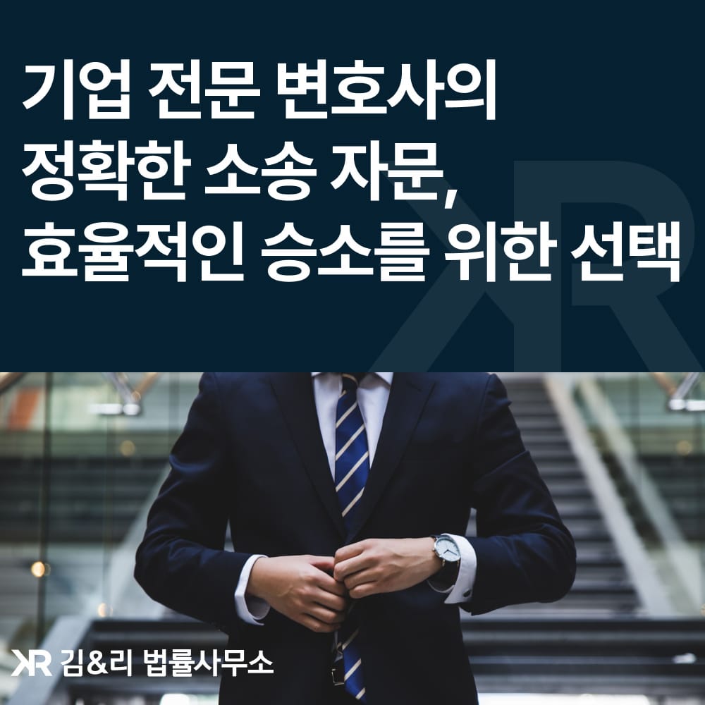 소송 자문