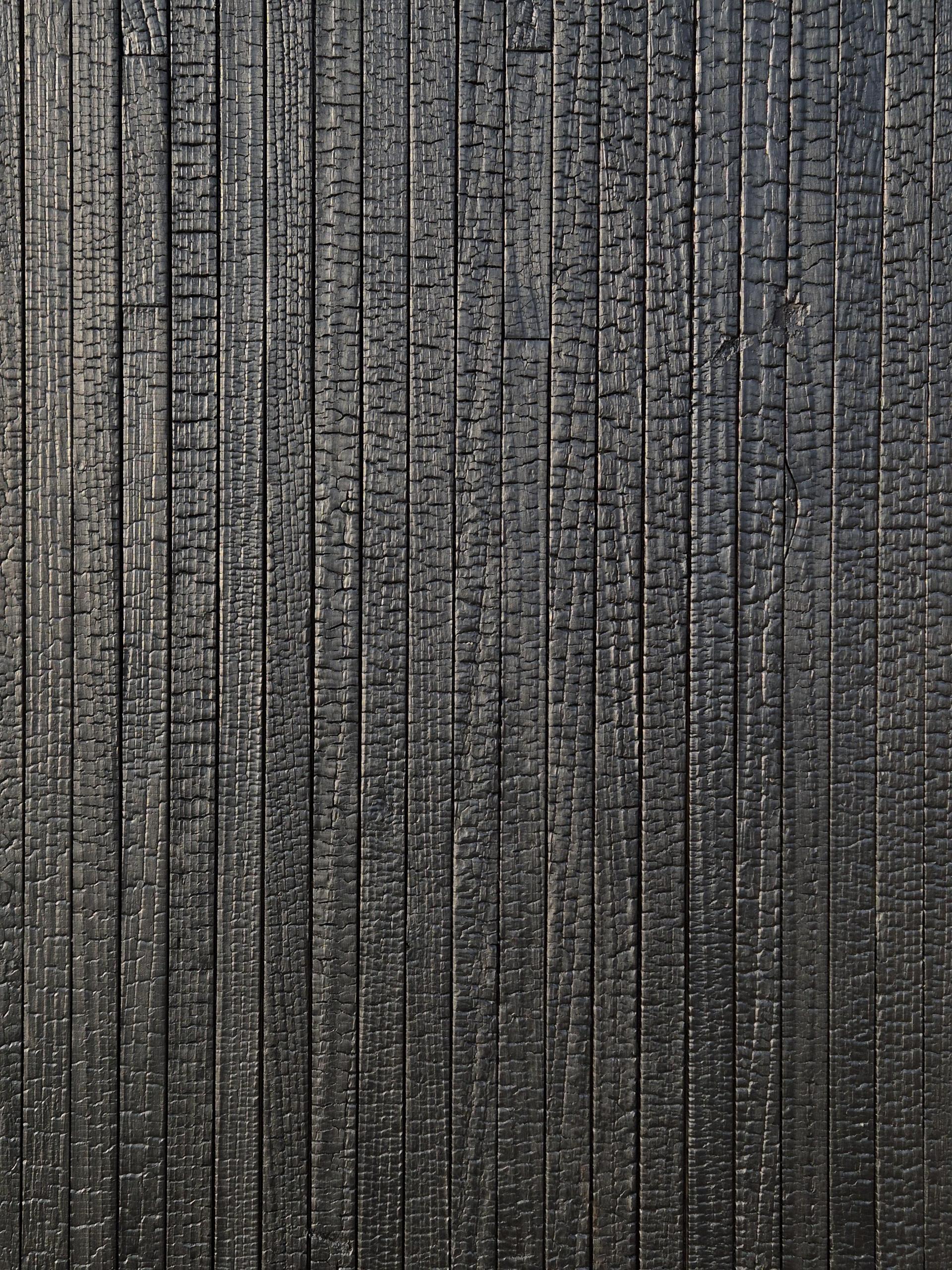 02bdc6d352789.jpg