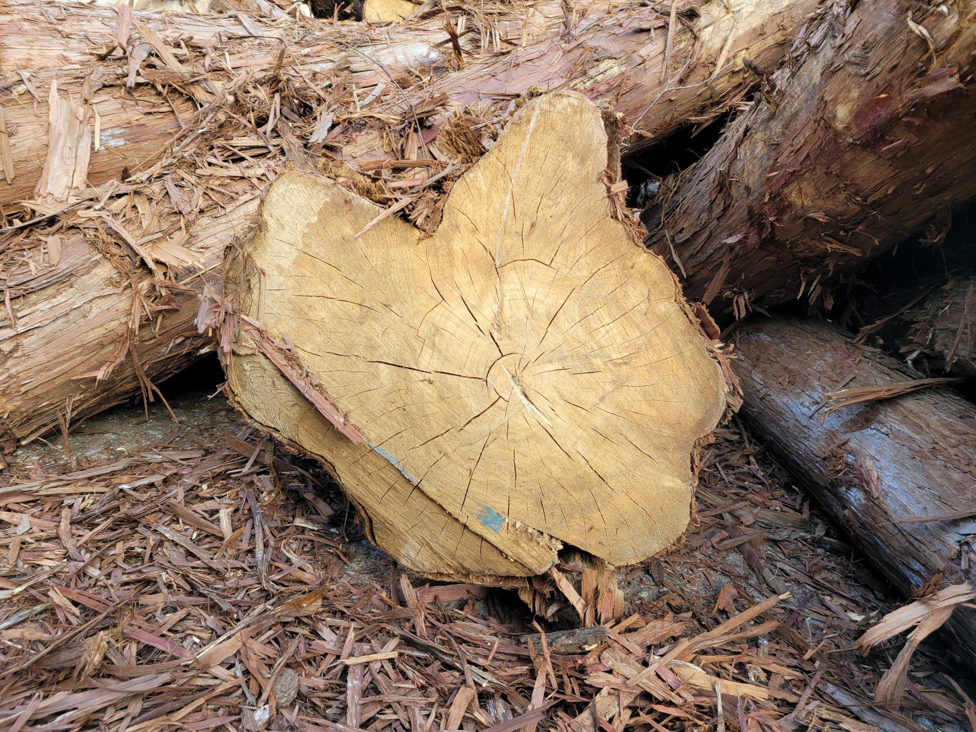 3a32db802068b.jpg