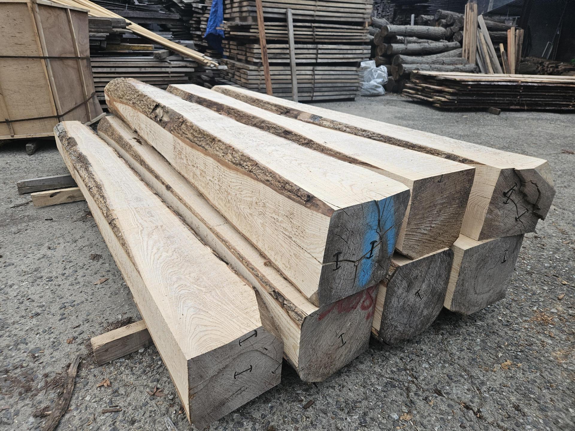3fc62b9e923b9.jpg