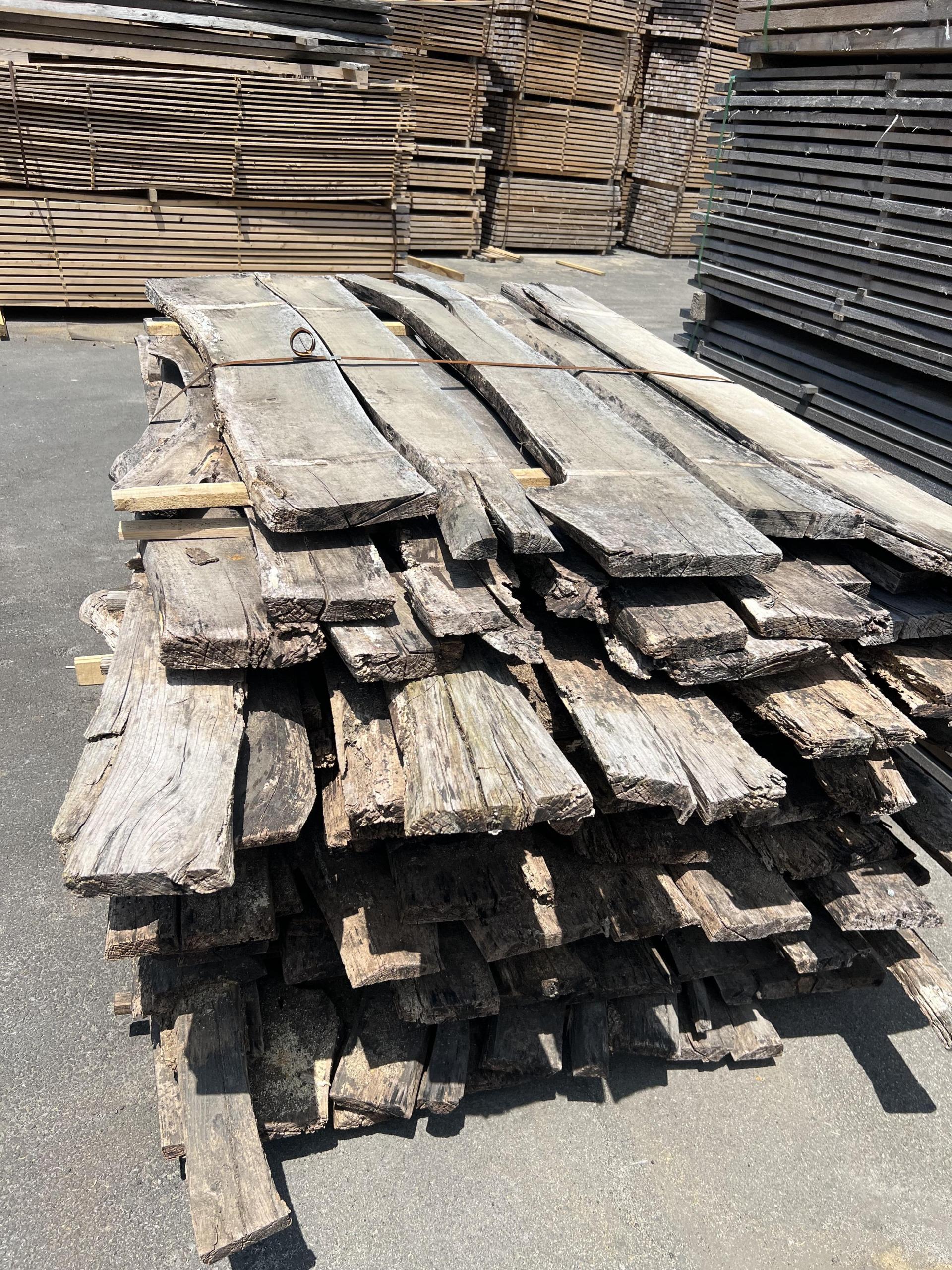 42c96500f1e97.jpg