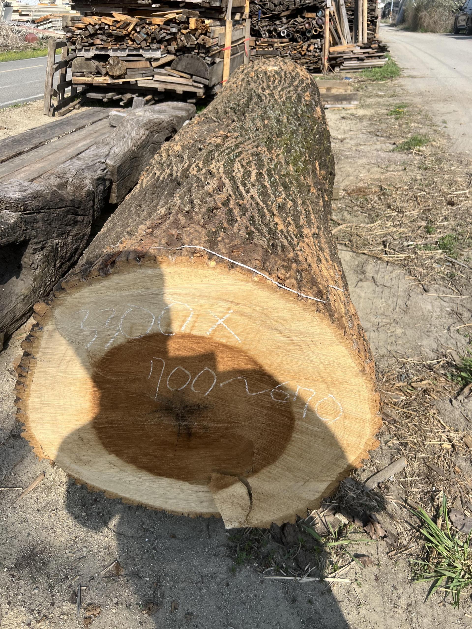 713a17614876d.jpg