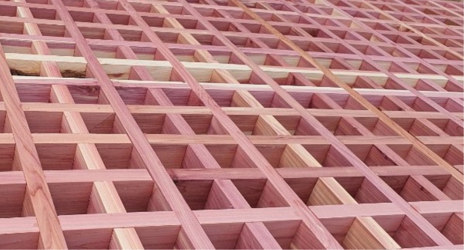 7ea950a60e7a0.jpg
