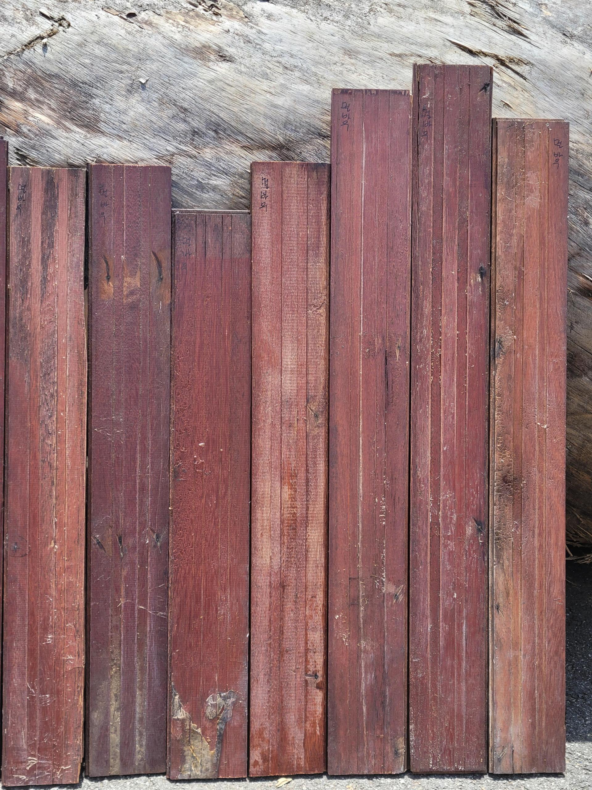 830bfcf514e2a.jpg