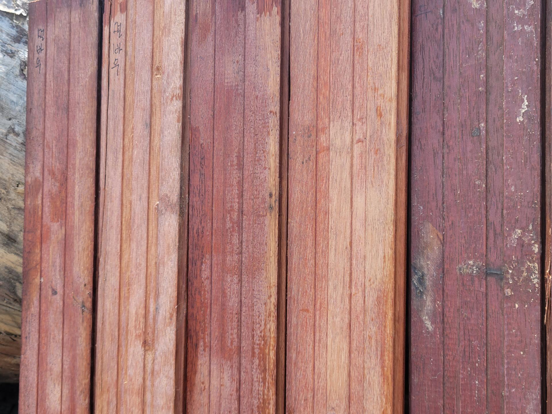 98f2b011f710c.jpg