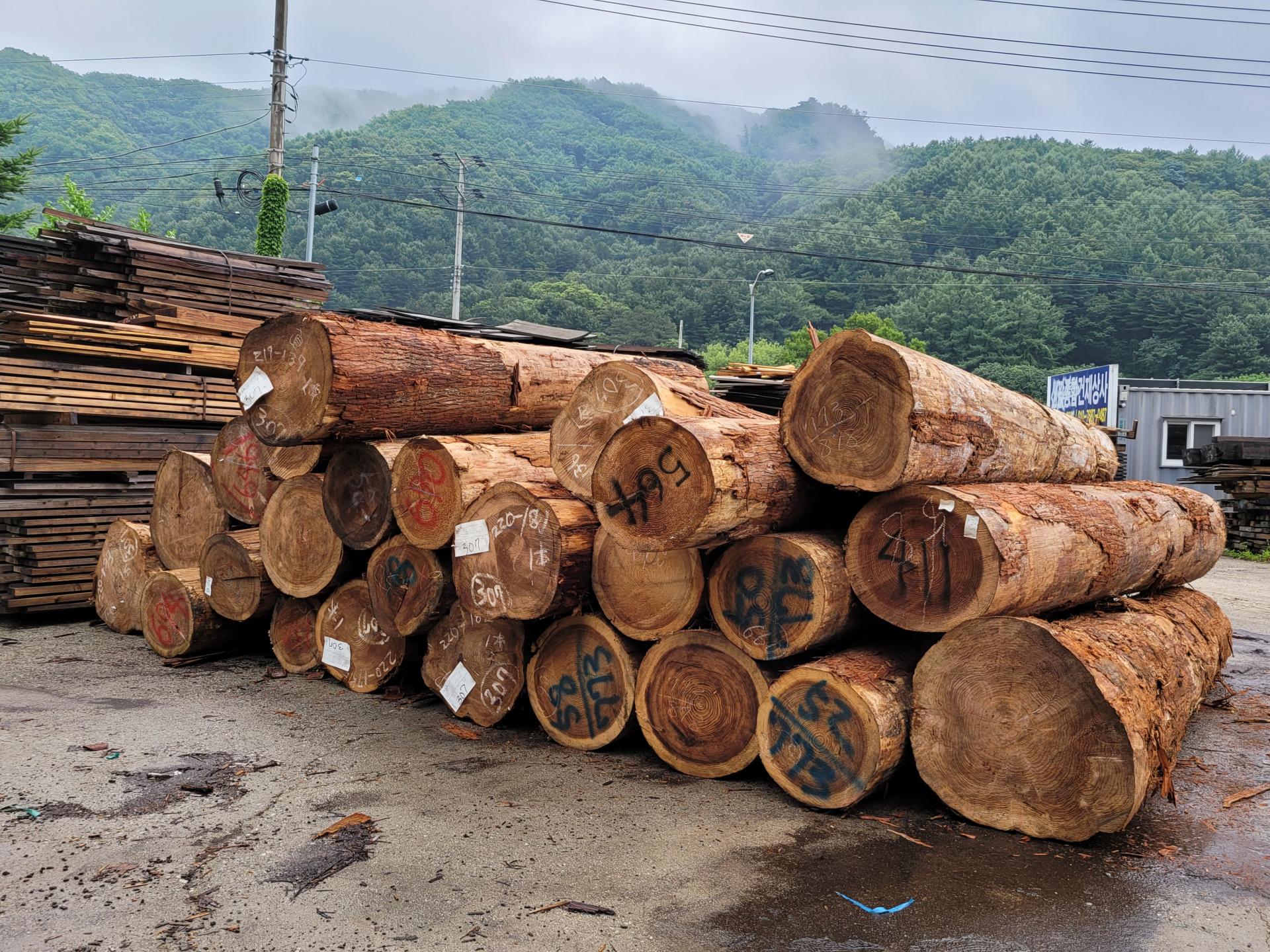 a49351743bd10.jpg